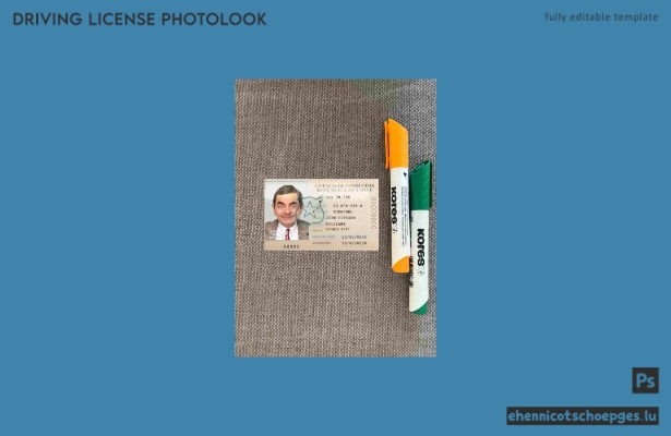 Beispielansicht für das Foto des chilenischen Führerscheins